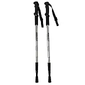 Палки Espado для скандинавской ходьбы телескопические FNW003 Палки Espado для скандинавской ходьбы телескопические FNW003 от магазина Супер Спорт
